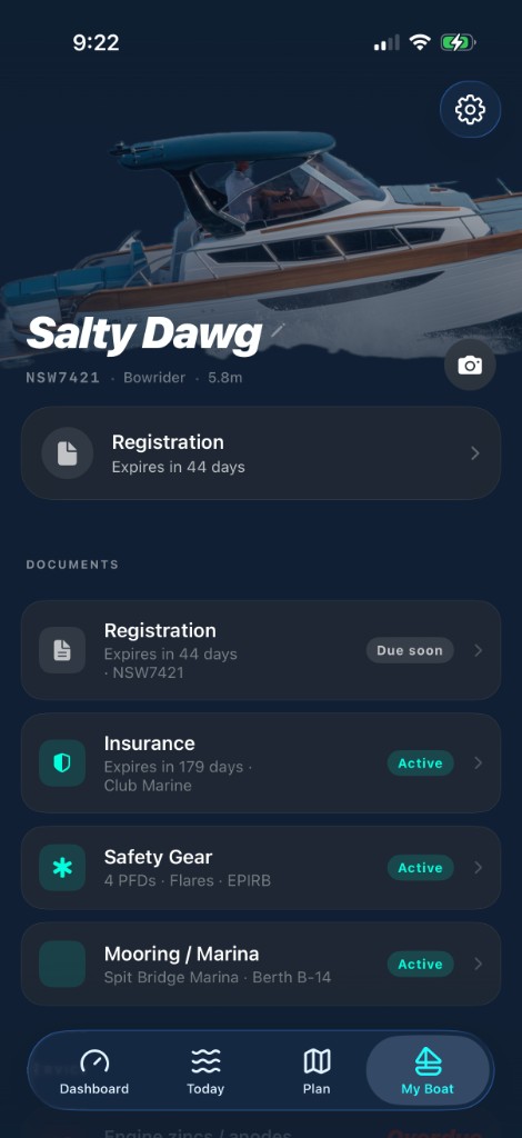 Skippa My Boat screen for Salty Dawg showing registration, insurance, safety gear, mooring and service status